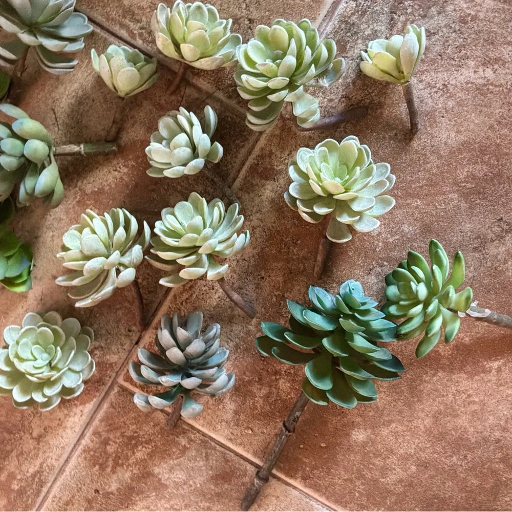 Lot- S-200…Artificial Succulents